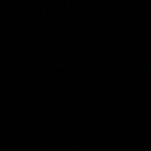 Meet your Posher, Daniela